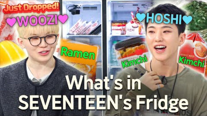 CHEF AND MY FRIDGE HOSHI WOOZI SUB INDO