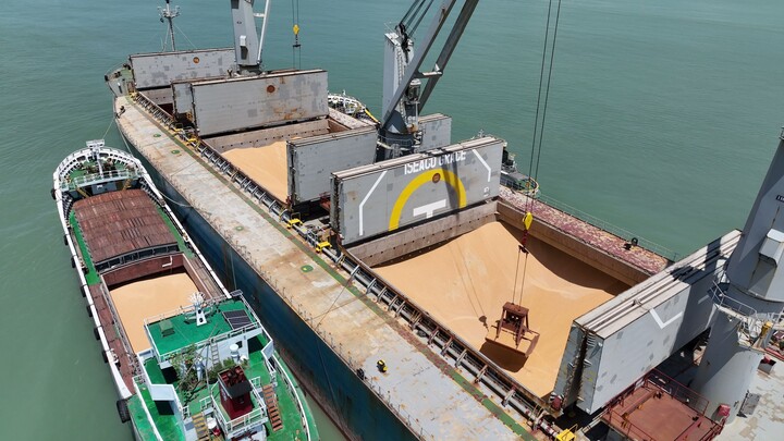 Bangladesh Export Import Scene