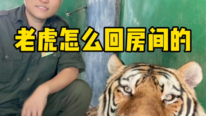 像不像家长喊你回家吃饭的样子？