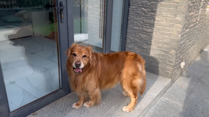 The aftereffect is too great, really too great!