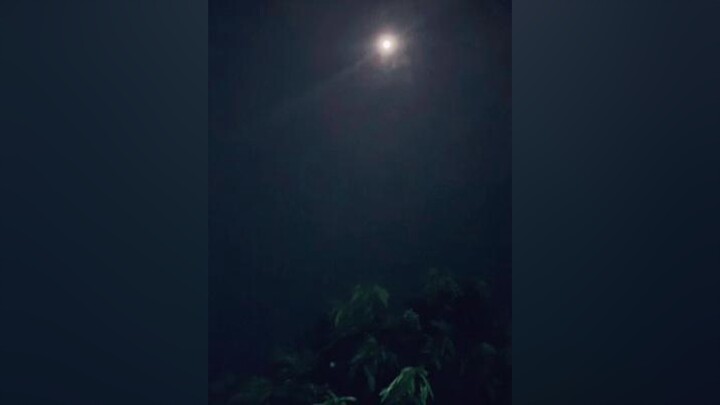 Đối với anh nó trả là cái đb gì cả❤xuhuongtiktok❤️  VaCaiKet tấuhài cườikhôngnhặtđượcmồm đạolycuocd
