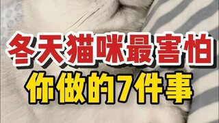 สิ่งที่แมวกลัวที่สุดในฤดูหนาวที่คุณทำ