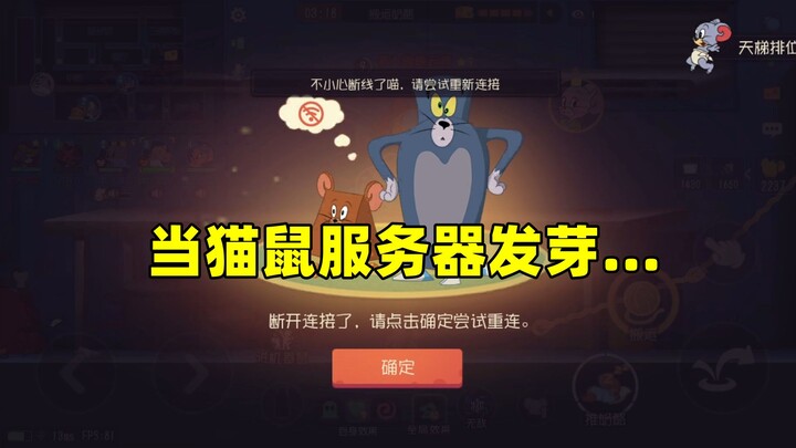 Game di động Tom và Jerry: Khi khoai tây trên máy chủ Tom – Chuột nảy mầm...