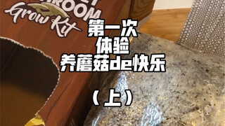 Tunggu sampai jamurnya tumbuh besar, baru SpongeBob yang coba racunnya dulu!