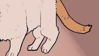 Stray Cat: If I had never seen the pet cat inside the door, I would have thought that all cats are b