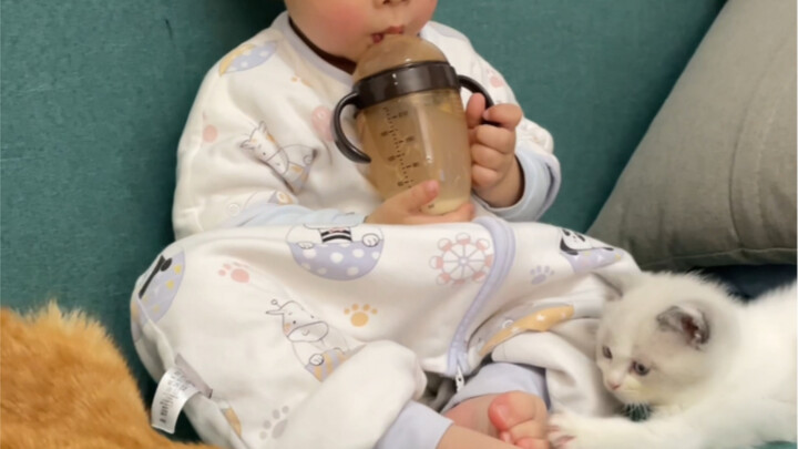 Video 55 detik yang susah-susah aku buat kok nggak kamu klik buat ditonton?