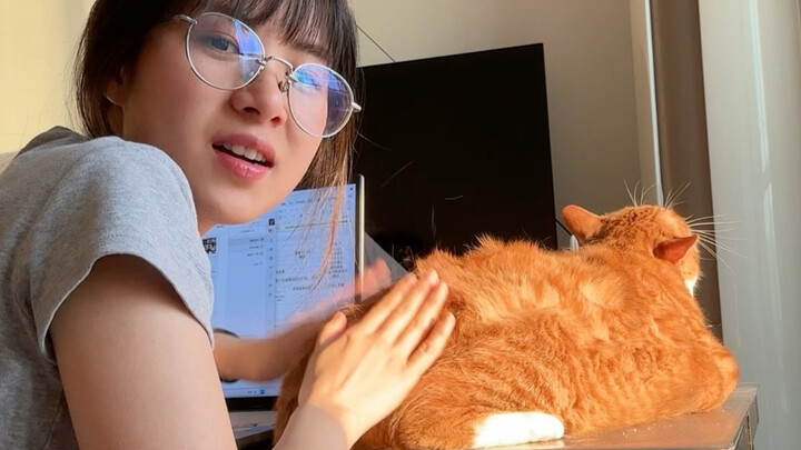 Vlog berjemur bersama kucing kecil