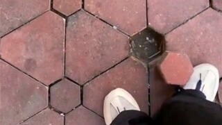 开心一整天