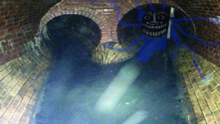 Trollge: February 28, 2022, "Nuclear Water Immersion" Incident