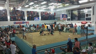 bog bog sarado peru panalo 🤣