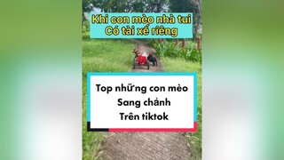 Chàng trai ga lăng nhất nhà tui joydogmom doglover yeuchomeo cute cliphay  chomeodethuong meota kindness friendship xelanchomeo nuoimeo