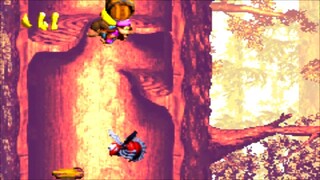 Donkey Kong Country 3: Dixie Kong's Double Trouble! Pt.5