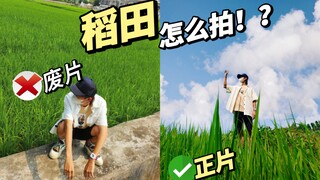 分享稻田氛围感拍照小技巧，让对象浅学一下