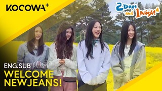 It's NEWJEANS First Variety Show Appearance! 🥳🎉 | 2 Days And 1 Night EP229 | KOCOWA+