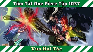 Luffy Sẽ Trở Lại, Phe Đồng Minh Phản Công - Tóm Tắt One Piece tập 1037