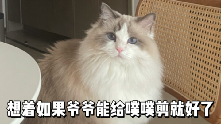 感动哭了，我有一个神仙爷爷……