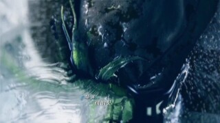 Đối Với Tôi, Anh Ấy Là Người Nguy Hiểm EP 10 [Sub Việt]