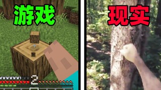 游 戏  vs  "现 实"  2