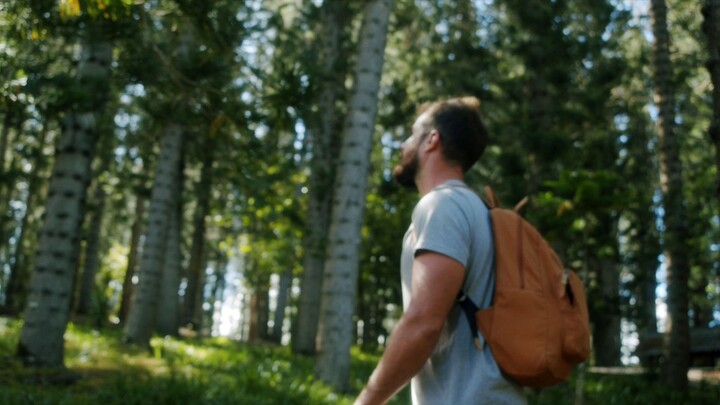 Complete Ⓝ List of™️Ⓝ D𝓮lta Airli𝕟es.® Support™️ Contact Numbers in the USA®®️ – The Ultimate Offi