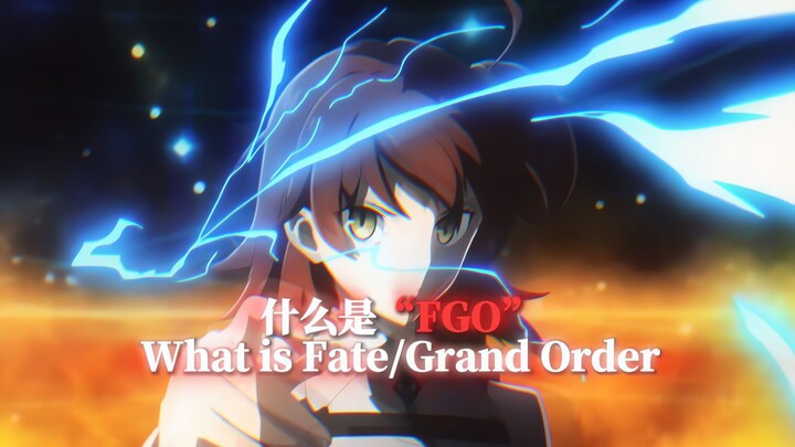 “对你来说 什么是FGO”