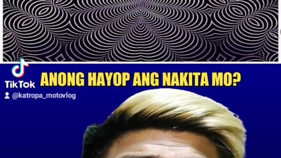 Anong "HAYOP" ang nakita mo sa larawang ito?