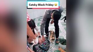 Nghề chọn người, mèo chọn chủ, mình tự nhiên thành con sen nha 😂Vlog ducminhts xadoan catsky mèo TikTokMaster2021