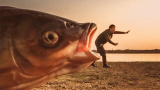 Small fish turns into big fish in seconds, fishing photography skills, small fish turns into big fis