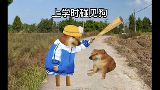 当你上学时碰见狗