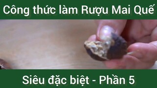 Công thức làm Rượu Mai Quế siêu đặc biệt phần 5