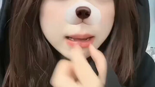 猪猪侠的英文名字叫什么！？