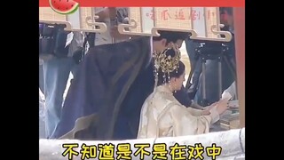 Thả Thí Thiên Hạ p37:Triệu Lộ Tư, Dương Dương