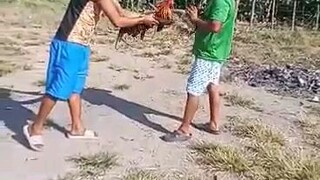 tumabla si bulag laban kahit alang partida