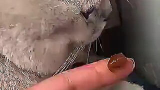How many times have I told you? Don't feed me when I'm angry!