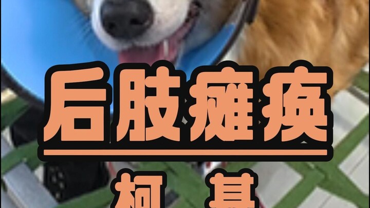 ปู้ปู้: ฉันทำเอง ฉันทำเอง!