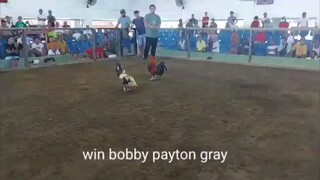 win lucky coliseum