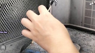 Petir hitam di luar atmosfer! Malaikat Kekuatan·Guntur Gelap! Badai Galaksi Gemini Bagian 2! Modifik