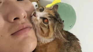 Kucing berbalik!!