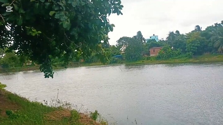 Mirpur 1 , beribad