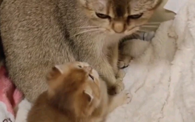 Mẹ con đáng yêu