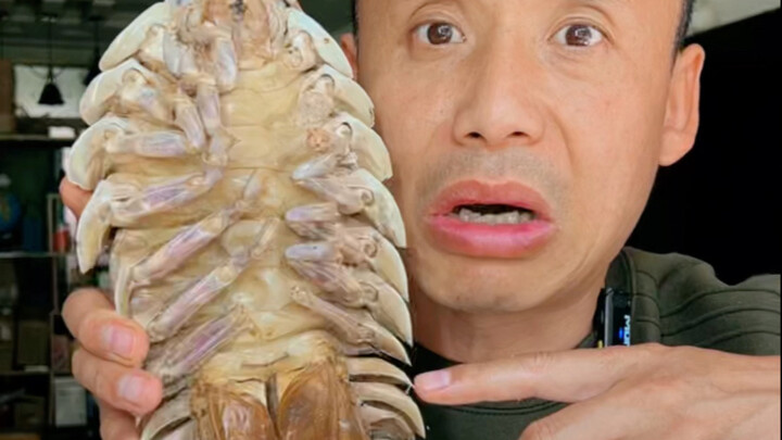 Challenging the King of Isopods