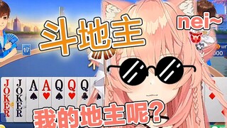 Con mèo ngoại lại đánh chủ nhà, tiền án của nó là bao nhiêu?