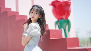 【Gurita】Apa itu cinta? ❤Aku ingin tahu～