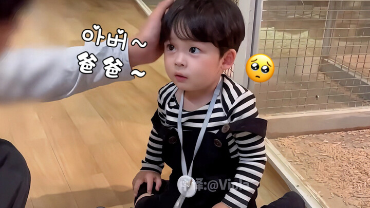 [Chinese Subtitles Cut] Little Pig Yijin, Always Teased by His Dad