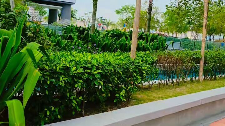 sunway serene Malaysia