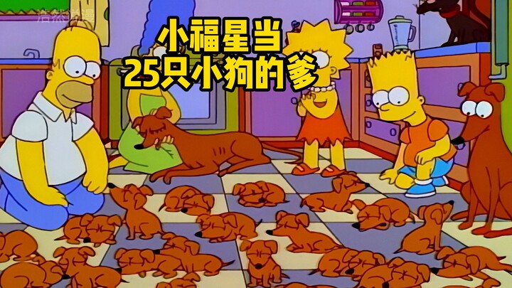 辛普森一家的小福星找到女朋友，还生下25只小狗，但却便宜了扒皮