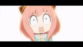 halfyear videos