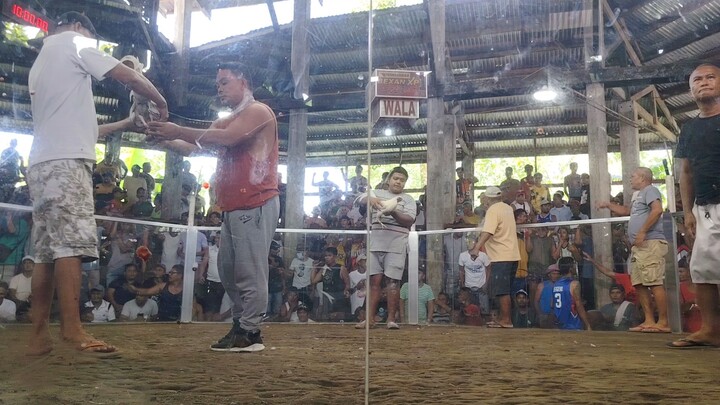 Nursery na bangkas nauga pa ang tahid nagpakitang gilas sa laban, kalaban bullstag white