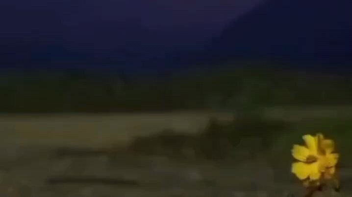 Cita Cita Orang Dewasa Ini Dekkk