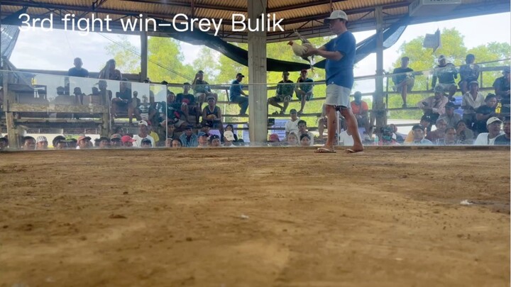 4 stag ALPHA BRAVO PROMOTION CHAMPION