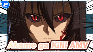 [Akame ga Kill! AMV] Ruin... Kill at One Time!_2